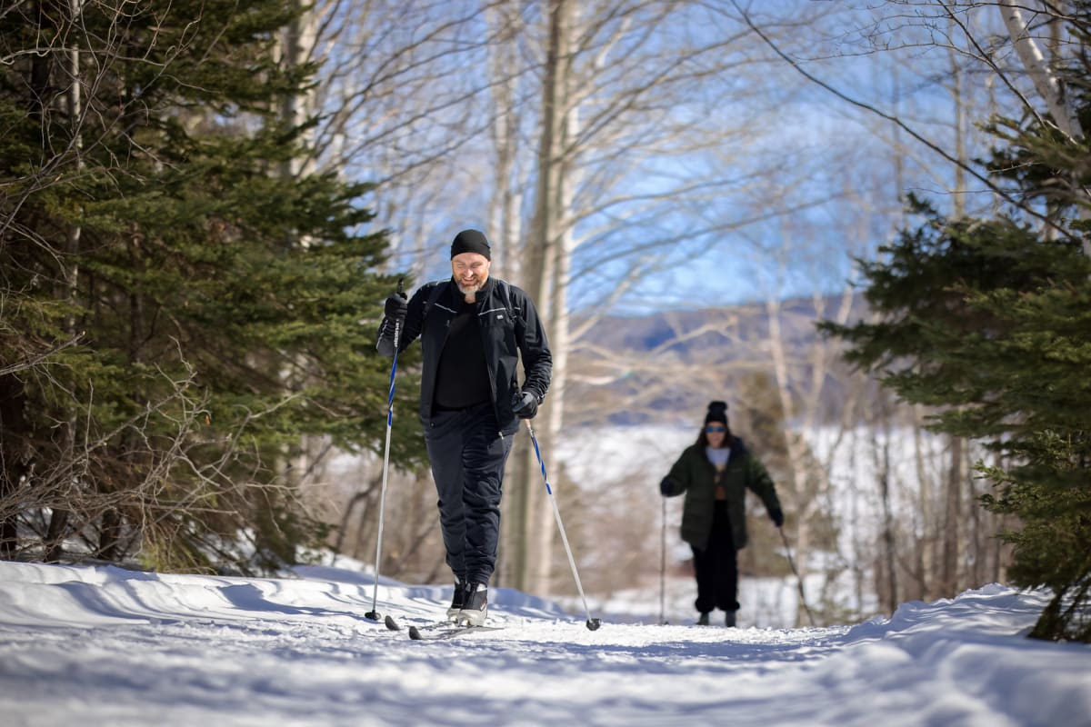 Two people cross-country skiing in a forest on a sunny day.