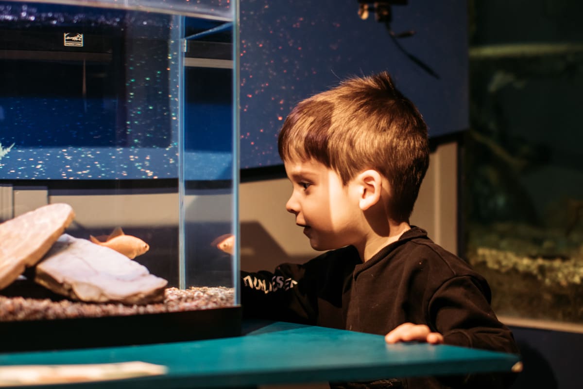 Boy at the Musée de la biodiversité.