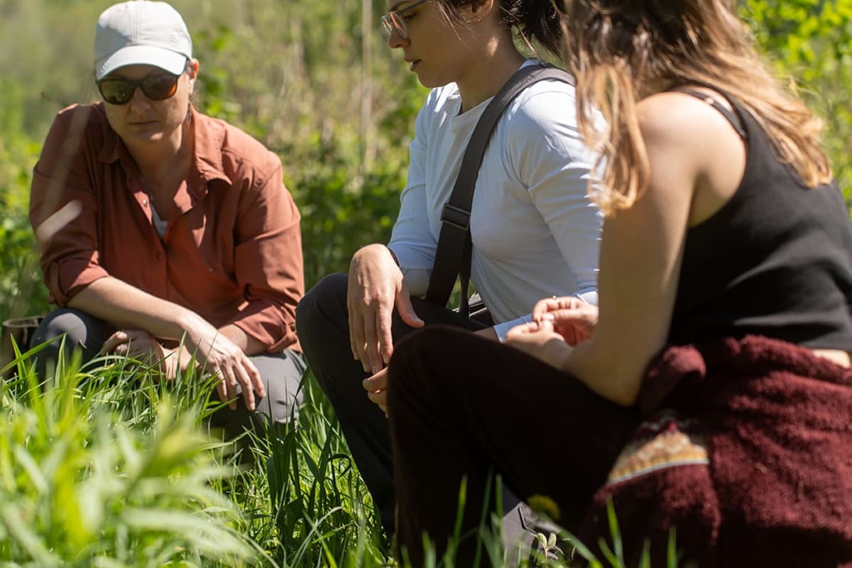 Cœur Sauvage - Trois personnes accroupies pour faire de la cueillette en nature.