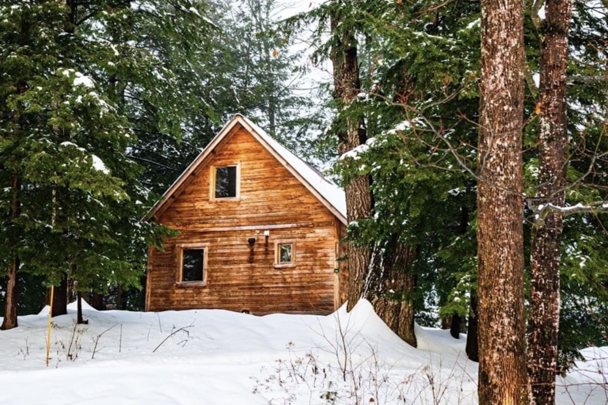 Wooden cabin surrounded by trees in winter at Huttopia - Les Deux Lacs