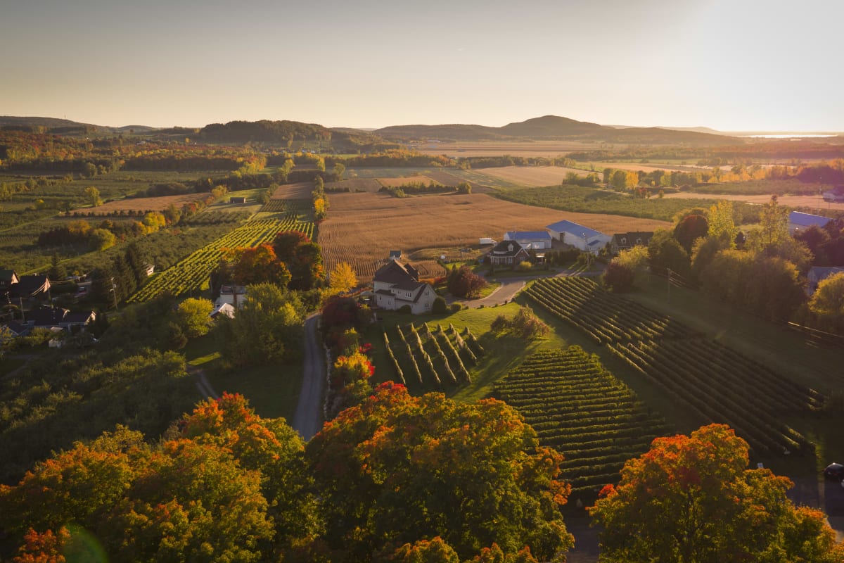 Vue aérienne de terres en campagne à l'automne.
