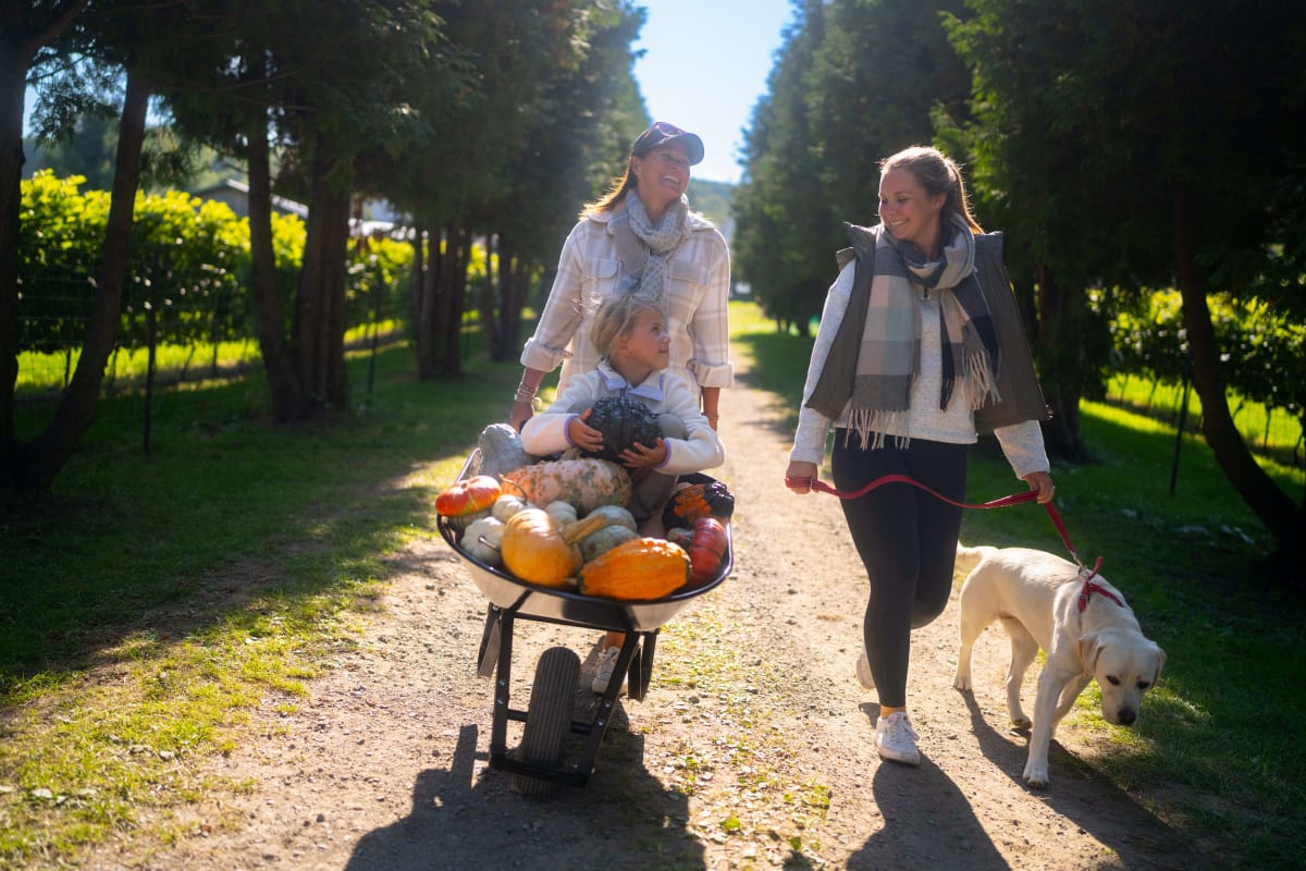 Deux femmes, un enfant et un chien avec une brouette de courges. 