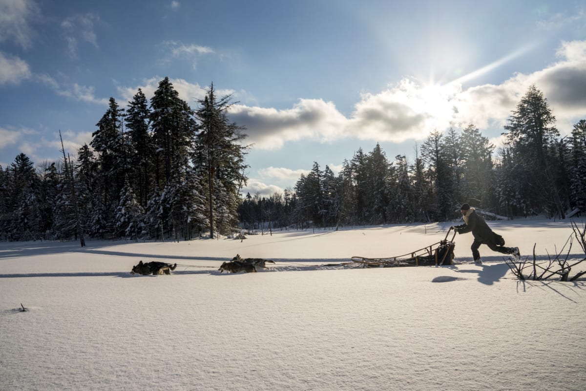Traineau à chiens chez Kenauk Nature