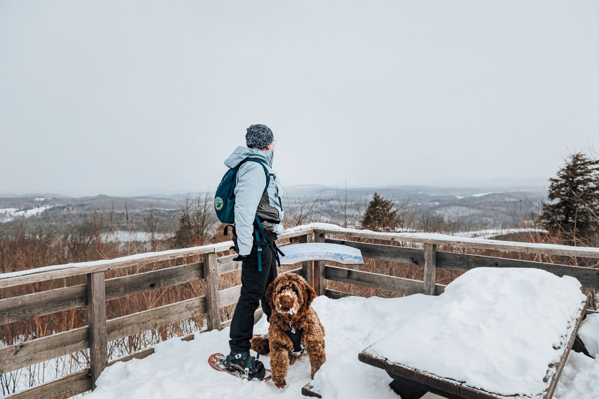 Personne en raquette accompagnée d'un chien au Parc des Montagnes Noires de Ripon