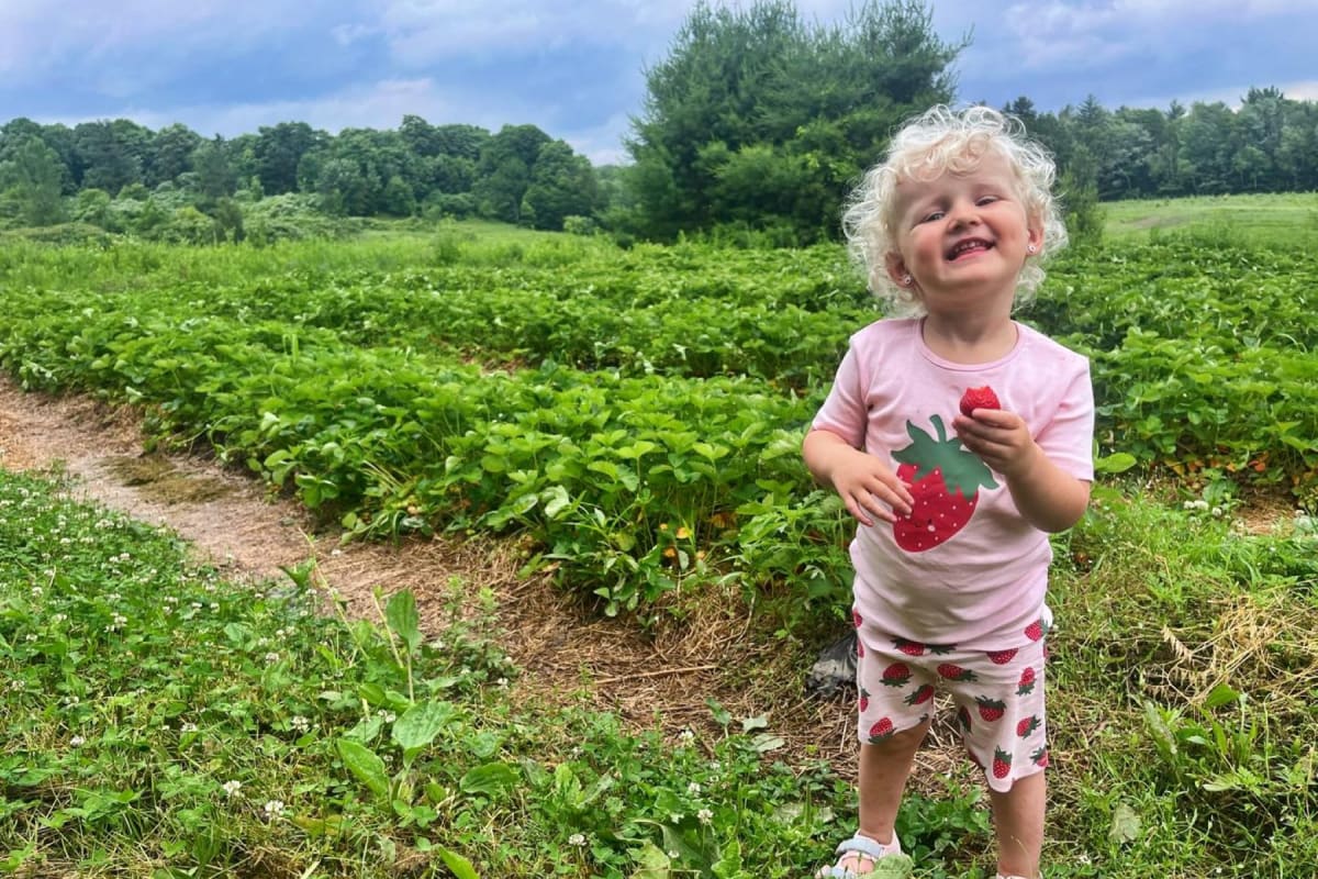 A young child wearing strawberry-patterned clothes eating a strawberry in a field.