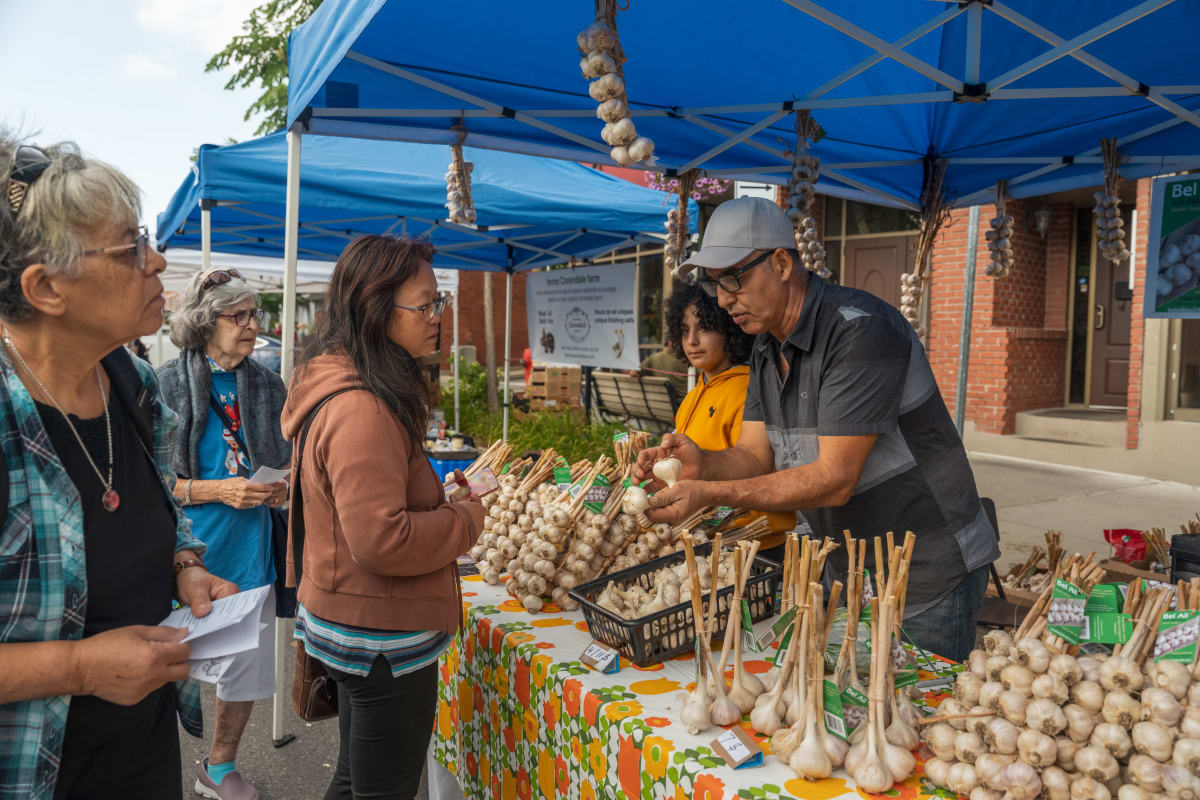 Gens à un kiosque de ventes d'ail - Sainte-Anne-de-Bellevue.