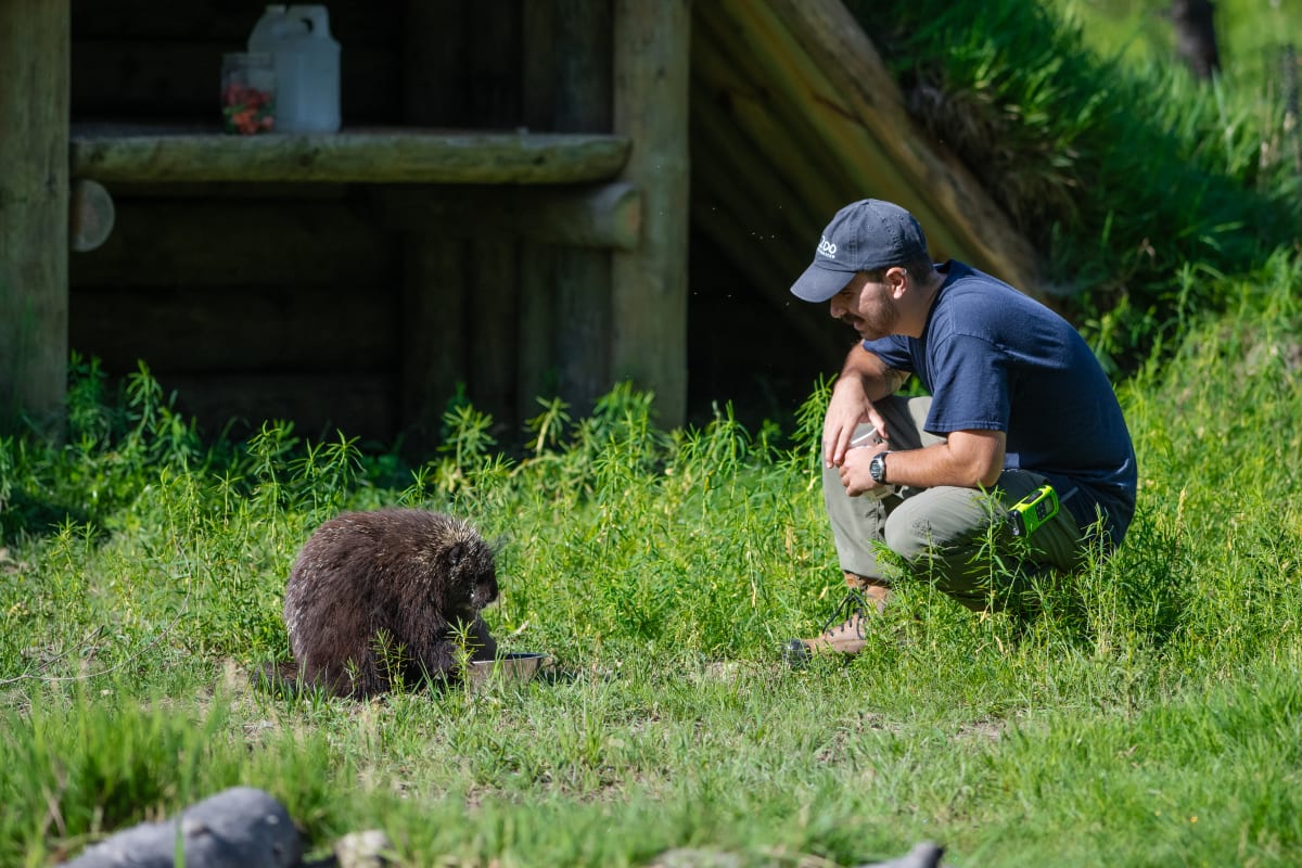 Personne veillant au bien-être animal