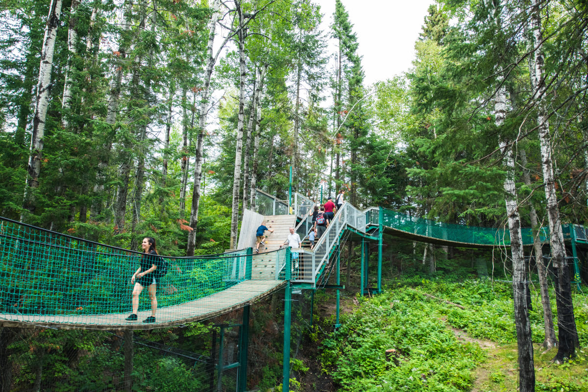 pont entre les arbres.