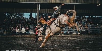 Equestrian rodeo
