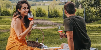 Agritourism in Brome-Missisquoi :picnic