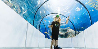 Son and mother watching fish