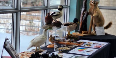 Biophare - Exposition