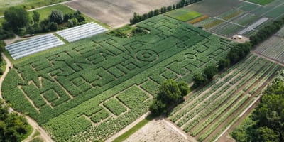 Ferme Marineau - Corn maze