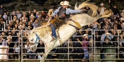 Festival Western Saint-André-Avellin : rodeo