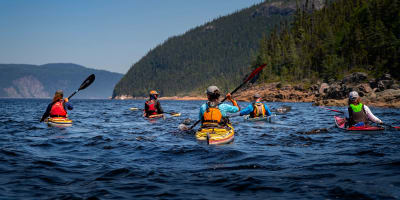 Fjord en kayak - excursion