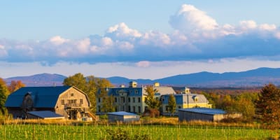 La Belle Alliance, vignoble