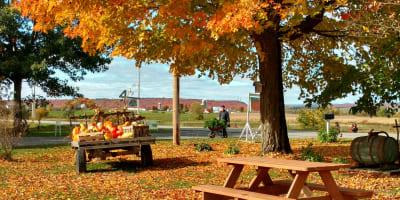L'Arc-en-ciel du Paradis in Fall season