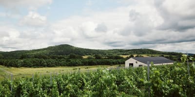 Maison agricole Joy Hill : paysage