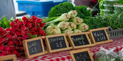 Marché du Terroir de Mirabel