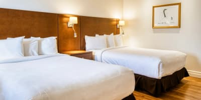 Motel Mistral - Room with two beds