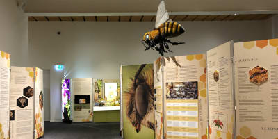 Musée de la nature et des sciences de Sherbrooke