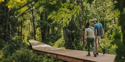Parc national de Plaisance - Un couple qui marche dans la forêt