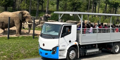 Company and group outing at Parc Safari