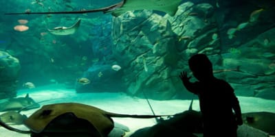 aquarium_de_montreal_1
