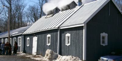cabane_a_sucre_oswald_1