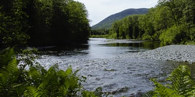 camping_de_la_reserve_faunique_de_matane_1