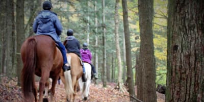 camping_ferme_pegasus_1