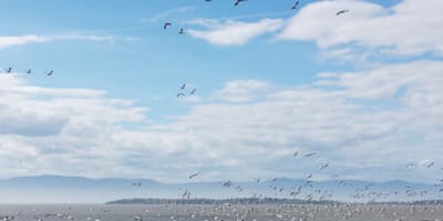 camping_municipal_de_lisle_aux_grues_1