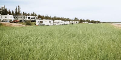 camping_municipal_havre_saint_pierre_1