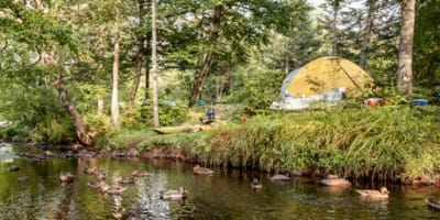 camping_stoneham_1