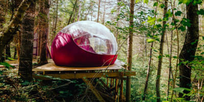 canopee_lit_1