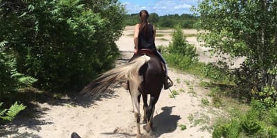 centre_dequitation_ranch_chez_real_1