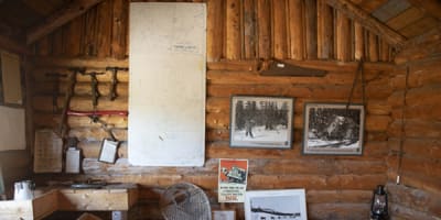 centre_dinterpretation_de_la_vie_en_foret_de_franquelin_1