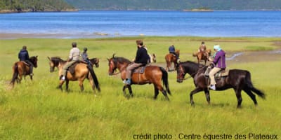 centre_equestre_des_plateaux_1