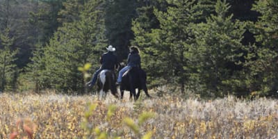 centre_equestre_nature_enr_1