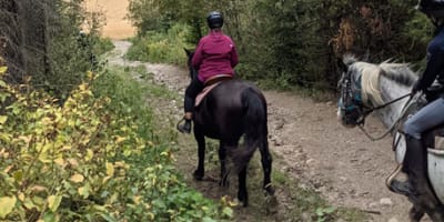 centre_equestre_saint_eloi_1