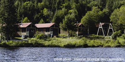 chalets_de_la_reserve_faunique_des_laurentides_1