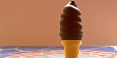 chocolaterie_de_lile_dorleans_1