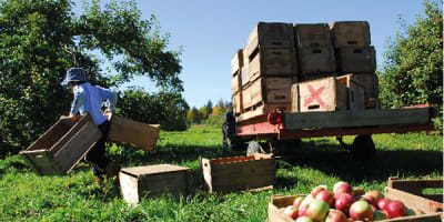 cidrerie_verger_pedneault___economusee_de_la_pomiculture_1