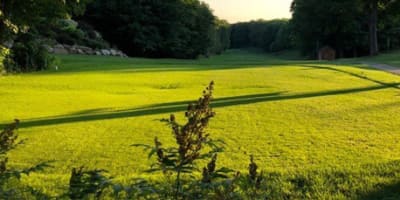 club_de_golf_orleans_inc_1