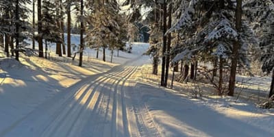club_de_ski_de_fond_rendez_vous_1_h