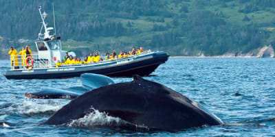 croisieres_baie_de_gaspe_inc_1