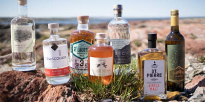 distillerie_des_marigots_1
