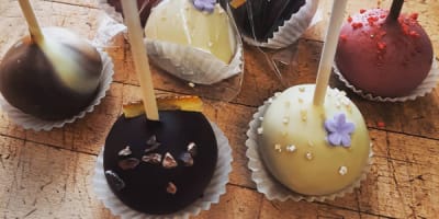 divins_chocolats_de_sandra_1