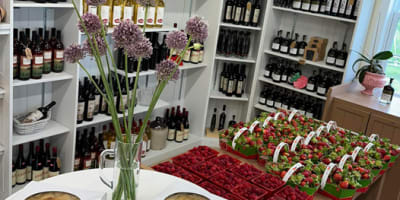 domaine_mont_vezeau_1