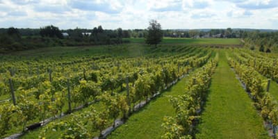 domaine_small_1